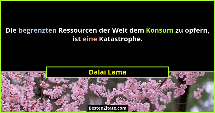 Die begrenzten Ressourcen der Welt dem Konsum zu opfern, ist eine Katastrophe.... - Dalai Lama