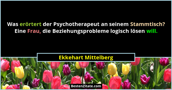 Was erörtert der Psychotherapeut an seinem Stammtisch? Eine Frau, die Beziehungsprobleme logisch lösen will.... - Ekkehart Mittelberg