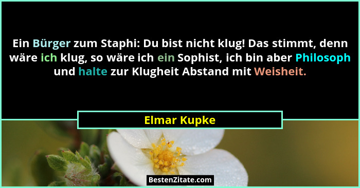 Ein Bürger zum Staphi: Du bist nicht klug! Das stimmt, denn wäre ich klug, so wäre ich ein Sophist, ich bin aber Philosoph und halte zur... - Elmar Kupke