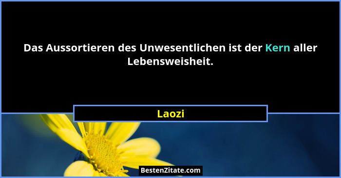 Das Aussortieren des Unwesentlichen ist der Kern aller Lebensweisheit.... - Laozi