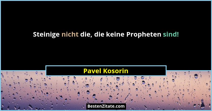 Steinige nicht die, die keine Propheten sind!... - Pavel Kosorin