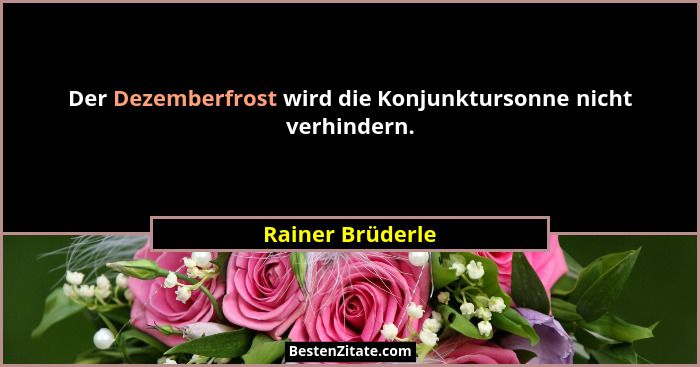 Der Dezemberfrost wird die Konjunktursonne nicht verhindern.... - Rainer Brüderle