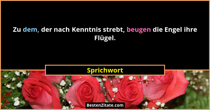 Zu dem, der nach Kenntnis strebt, beugen die Engel ihre Flügel.... - Sprichwort