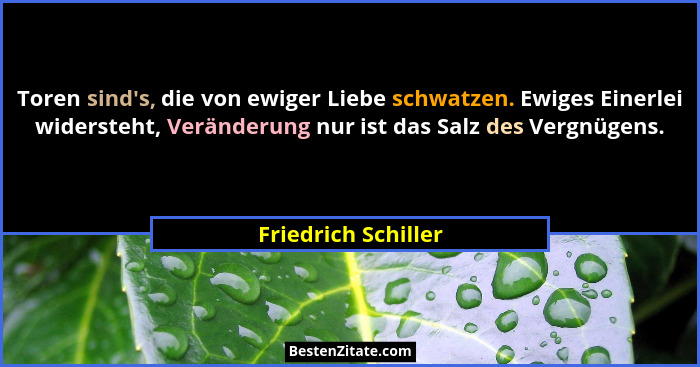 Toren sind's, die von ewiger Liebe schwatzen. Ewiges Einerlei widersteht, Veränderung nur ist das Salz des Vergnügens.... - Friedrich Schiller