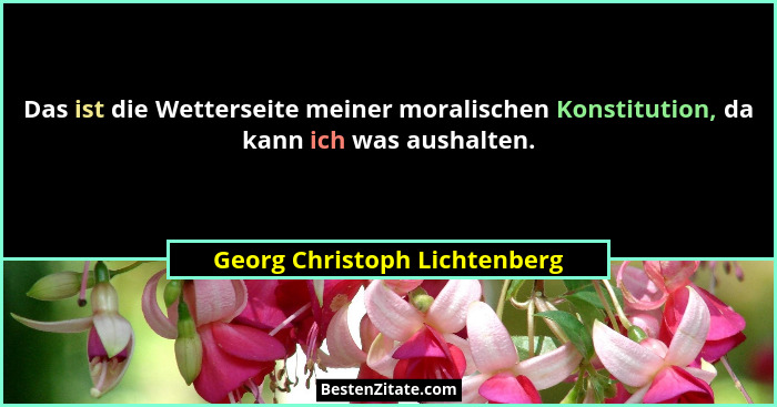 Das ist die Wetterseite meiner moralischen Konstitution, da kann ich was aushalten.... - Georg Christoph Lichtenberg