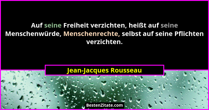 Auf seine Freiheit verzichten, heißt auf seine Menschenwürde, Menschenrechte, selbst auf seine Pflichten verzichten.... - Jean-Jacques Rousseau