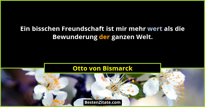 Ein bisschen Freundschaft ist mir mehr wert als die Bewunderung der ganzen Welt.... - Otto von Bismarck