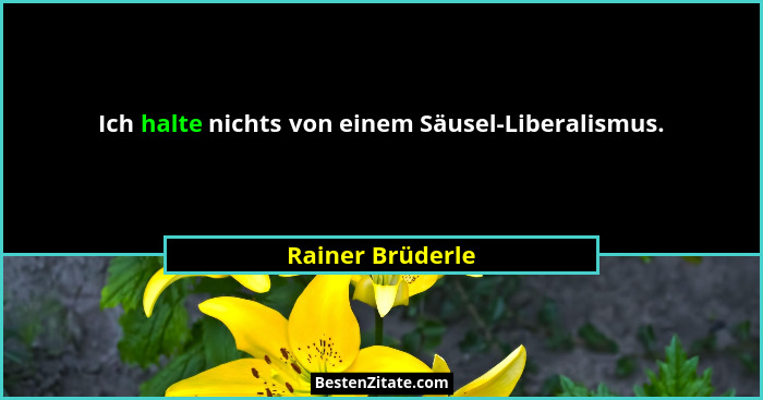 Ich halte nichts von einem Säusel-Liberalismus.... - Rainer Brüderle