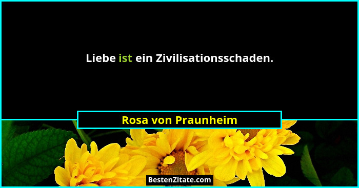 Liebe ist ein Zivilisationsschaden.... - Rosa von Praunheim