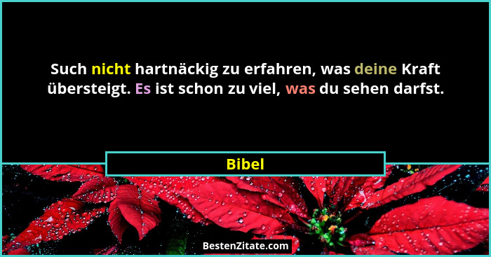 Such nicht hartnäckig zu erfahren, was deine Kraft übersteigt. Es ist schon zu viel, was du sehen darfst.... - Bibel