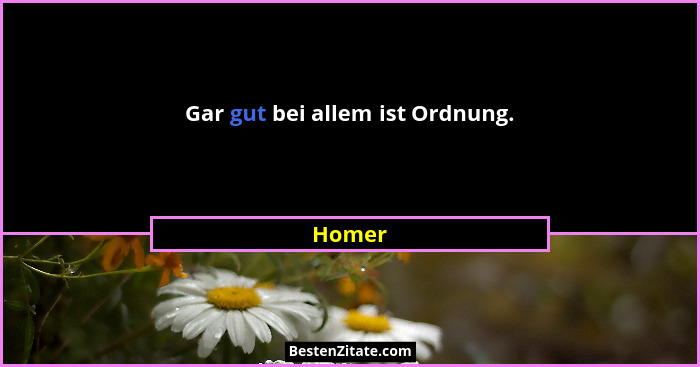 Gar gut bei allem ist Ordnung.... - Homer