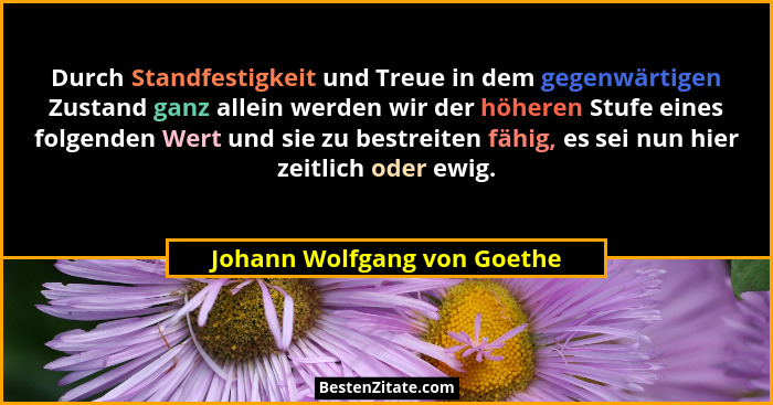 Durch Standfestigkeit und Treue in dem gegenwärtigen Zustand ganz allein werden wir der höheren Stufe eines folgenden Wer... - Johann Wolfgang von Goethe