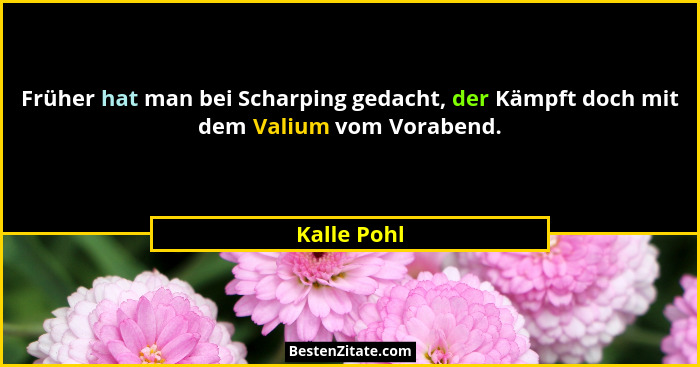 Früher hat man bei Scharping gedacht, der Kämpft doch mit dem Valium vom Vorabend.... - Kalle Pohl