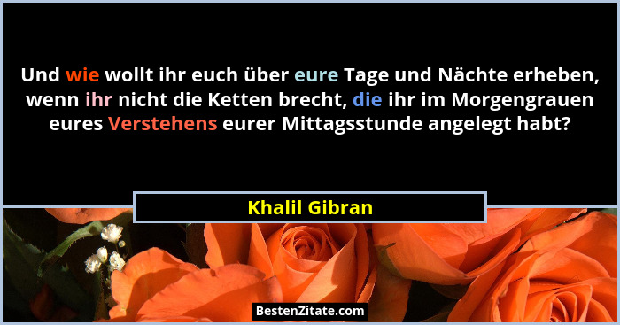 Und wie wollt ihr euch über eure Tage und Nächte erheben, wenn ihr nicht die Ketten brecht, die ihr im Morgengrauen eures Verstehens e... - Khalil Gibran