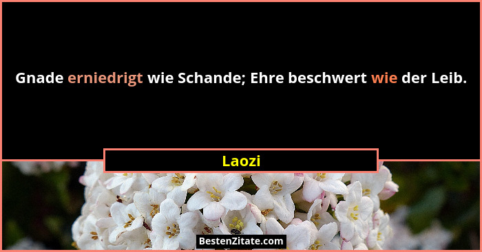 Gnade erniedrigt wie Schande; Ehre beschwert wie der Leib.... - Laozi