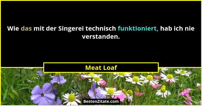 Wie das mit der Singerei technisch funktioniert, hab ich nie verstanden.... - Meat Loaf