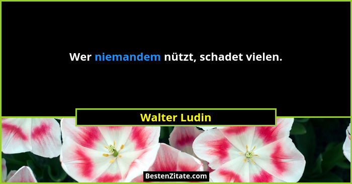 Wer niemandem nützt, schadet vielen.... - Walter Ludin