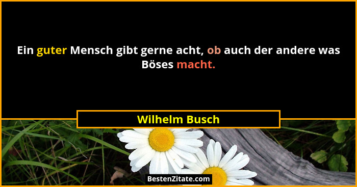 Ein guter Mensch gibt gerne acht, ob auch der andere was Böses macht.... - Wilhelm Busch