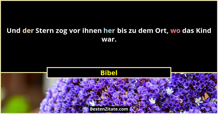 Und der Stern zog vor ihnen her bis zu dem Ort, wo das Kind war.... - Bibel