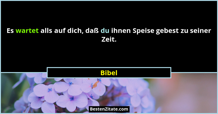 Es wartet alls auf dich, daß du ihnen Speise gebest zu seiner Zeit.... - Bibel