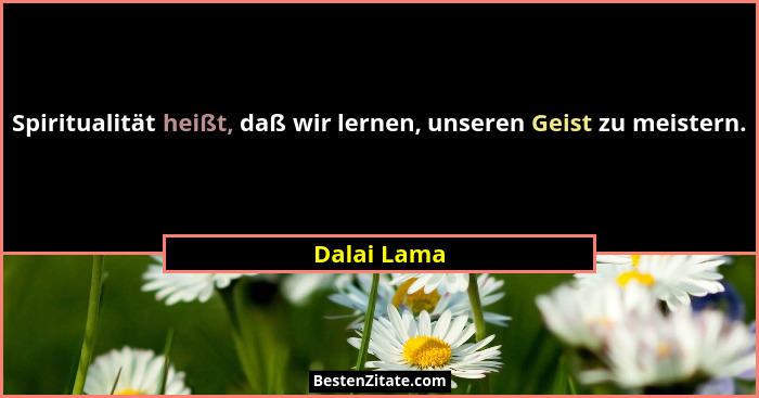 Spiritualität heißt, daß wir lernen, unseren Geist zu meistern.... - Dalai Lama