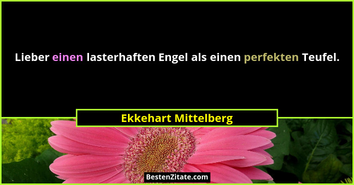 Lieber einen lasterhaften Engel als einen perfekten Teufel.... - Ekkehart Mittelberg