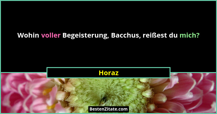 Wohin voller Begeisterung, Bacchus, reißest du mich?... - Horaz