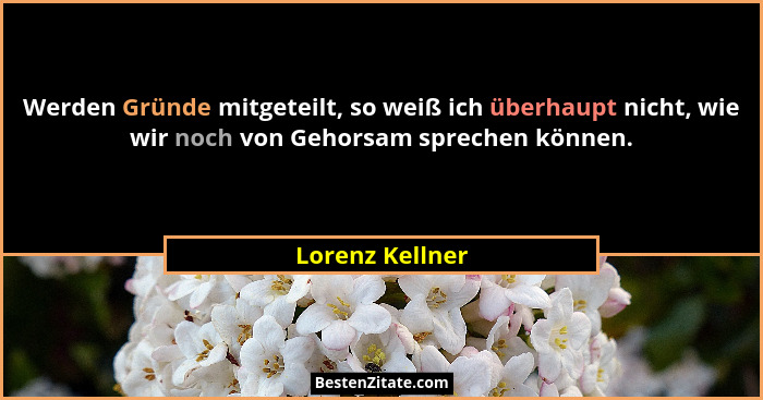 Werden Gründe mitgeteilt, so weiß ich überhaupt nicht, wie wir noch von Gehorsam sprechen können.... - Lorenz Kellner