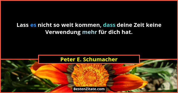 Lass es nicht so weit kommen, dass deine Zeit keine Verwendung mehr für dich hat.... - Peter E. Schumacher