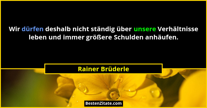 Wir dürfen deshalb nicht ständig über unsere Verhältnisse leben und immer größere Schulden anhäufen.... - Rainer Brüderle
