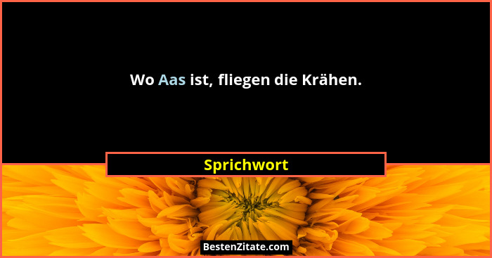 Wo Aas ist, fliegen die Krähen.... - Sprichwort
