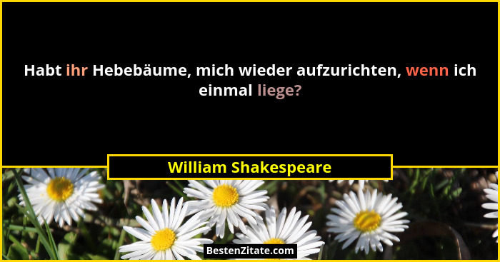 Habt ihr Hebebäume, mich wieder aufzurichten, wenn ich einmal liege?... - William Shakespeare
