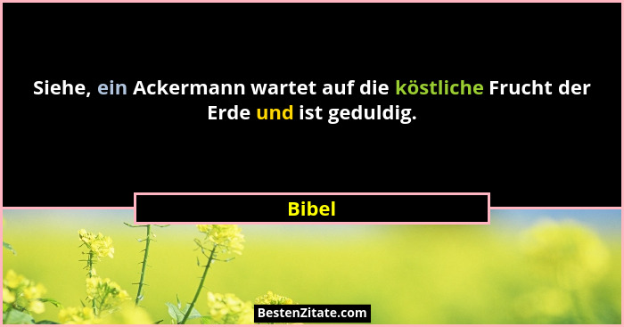 Siehe, ein Ackermann wartet auf die köstliche Frucht der Erde und ist geduldig.... - Bibel