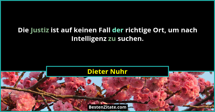 Die Justiz ist auf keinen Fall der richtige Ort, um nach Intelligenz zu suchen.... - Dieter Nuhr