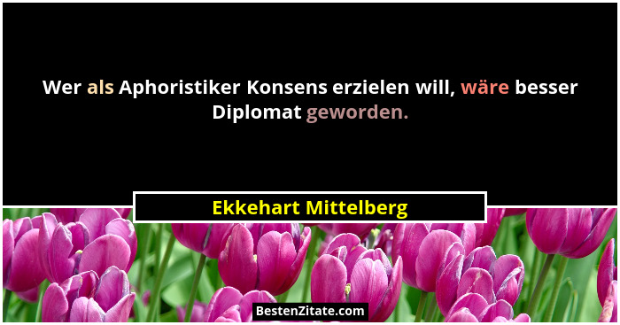 Wer als Aphoristiker Konsens erzielen will, wäre besser Diplomat geworden.... - Ekkehart Mittelberg
