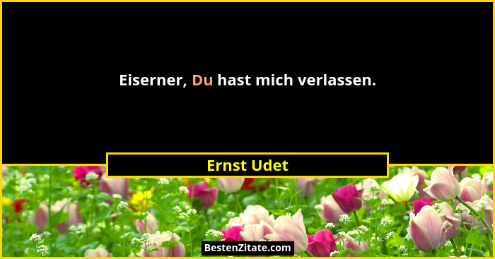 Eiserner, Du hast mich verlassen.... - Ernst Udet