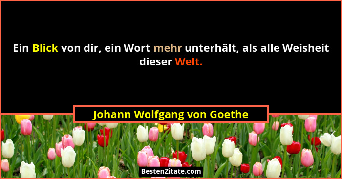 Ein Blick von dir, ein Wort mehr unterhält, als alle Weisheit dieser Welt.... - Johann Wolfgang von Goethe