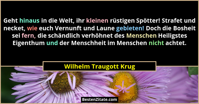 Geht hinaus in die Welt, ihr kleinen rüstigen Spötter! Strafet und necket, wie euch Vernunft und Laune gebieten! Doch die Bosh... - Wilhelm Traugott Krug