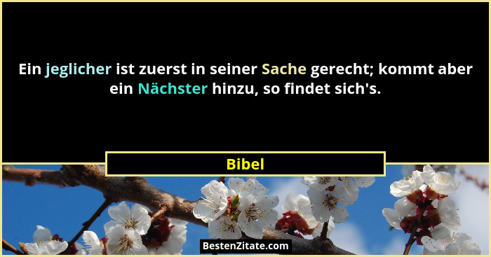 Ein jeglicher ist zuerst in seiner Sache gerecht; kommt aber ein Nächster hinzu, so findet sich's.... - Bibel