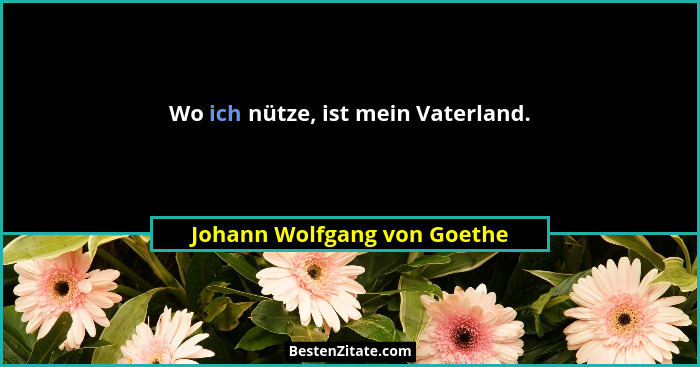 Wo ich nütze, ist mein Vaterland.... - Johann Wolfgang von Goethe
