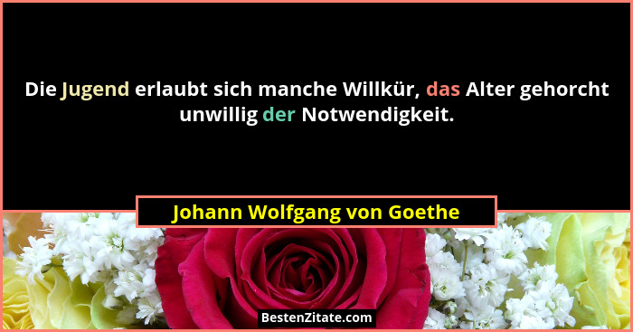 Die Jugend erlaubt sich manche Willkür, das Alter gehorcht unwillig der Notwendigkeit.... - Johann Wolfgang von Goethe