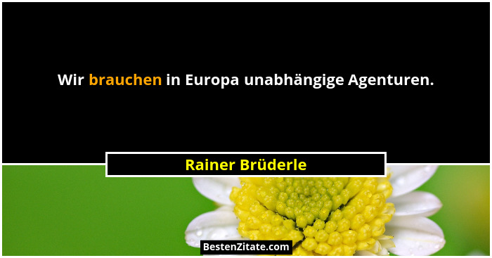 Wir brauchen in Europa unabhängige Agenturen.... - Rainer Brüderle