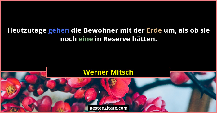 Heutzutage gehen die Bewohner mit der Erde um, als ob sie noch eine in Reserve hätten.... - Werner Mitsch