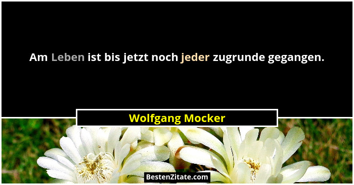 Am Leben ist bis jetzt noch jeder zugrunde gegangen.... - Wolfgang Mocker