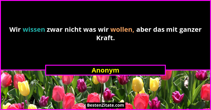Wir wissen zwar nicht was wir wollen, aber das mit ganzer Kraft.... - Anonym