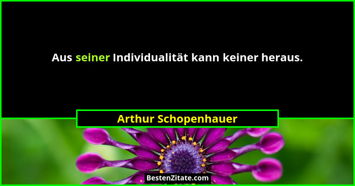 Aus seiner Individualität kann keiner heraus.... - Arthur Schopenhauer