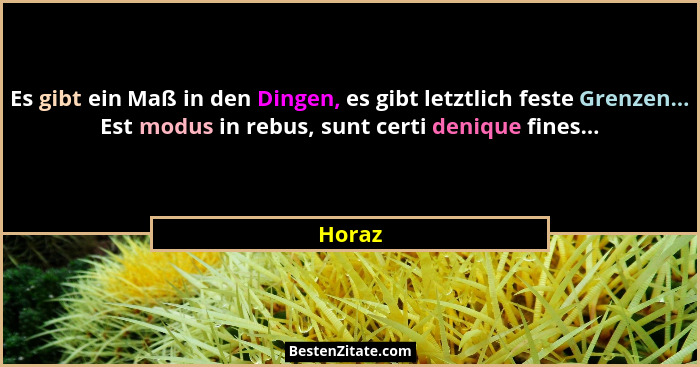 Es gibt ein Maß in den Dingen, es gibt letztlich feste Grenzen... Est modus in rebus, sunt certi denique fines...... - Horaz