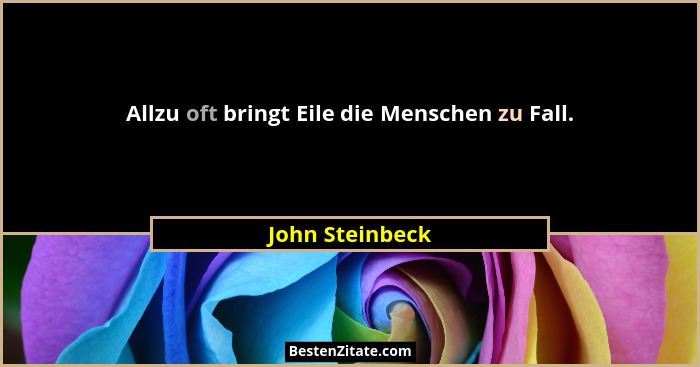 Allzu oft bringt Eile die Menschen zu Fall.... - John Steinbeck