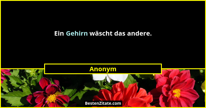 Ein Gehirn wäscht das andere.... - Anonym
