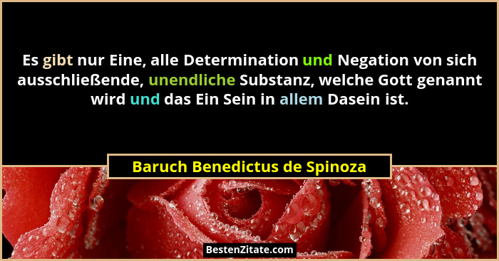 Es gibt nur Eine, alle Determination und Negation von sich ausschließende, unendliche Substanz, welche Gott genannt wir... - Baruch Benedictus de Spinoza